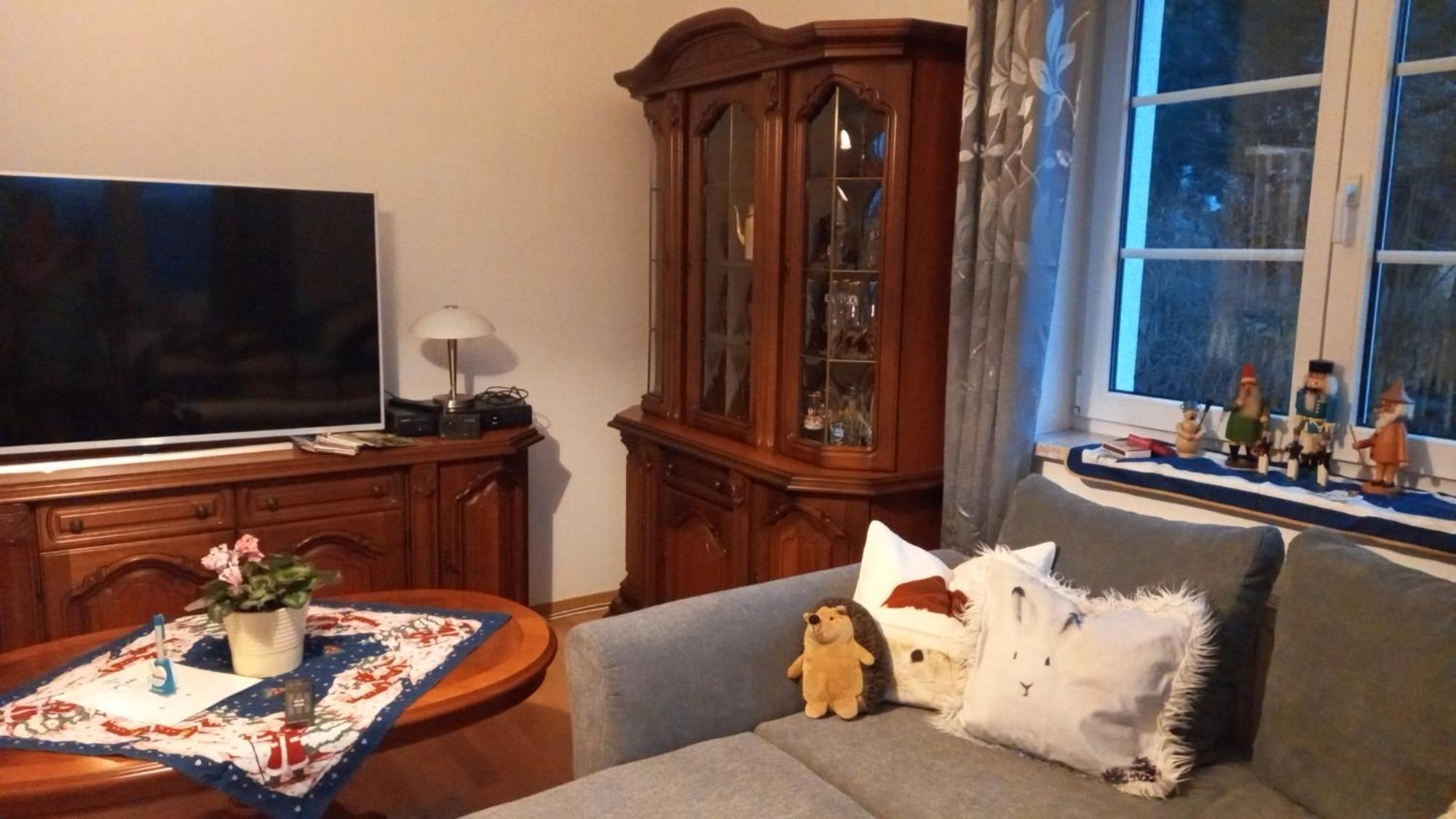 Ferienwohnung Finkenberg Sebnitz Ngoại thất bức ảnh